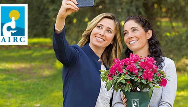 Piazza Duomo, domenica l'azalea della ricerca