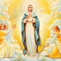Solennità dell’Assunzione della Beata Vergine Maria