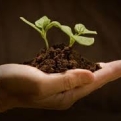 Imparare a crescere per superare i limiti
