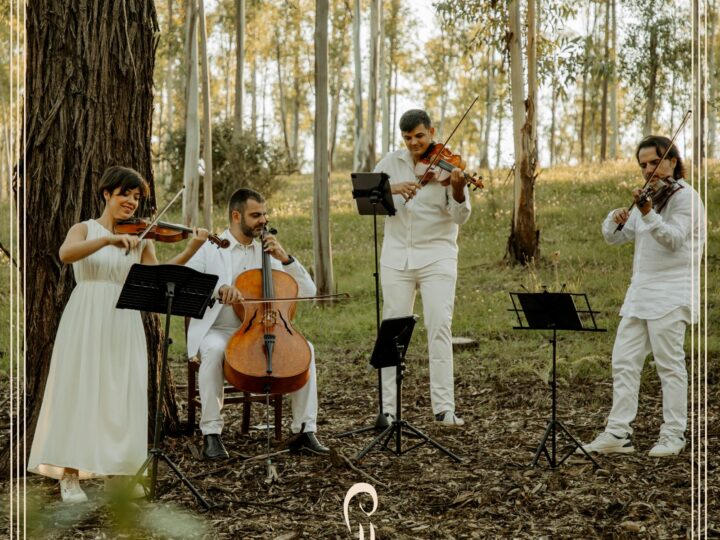 Chiostro della Cattedrale. Quartetto Alikòs in concerto