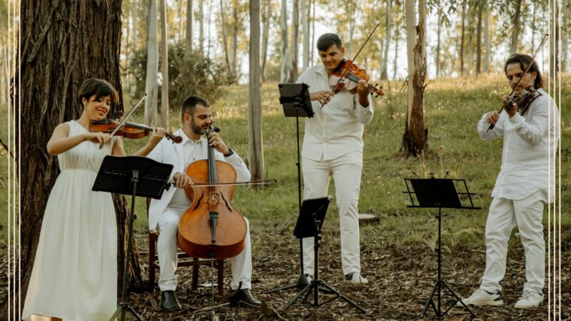 Chiostro della Cattedrale. Quartetto Alikòs in concerto
