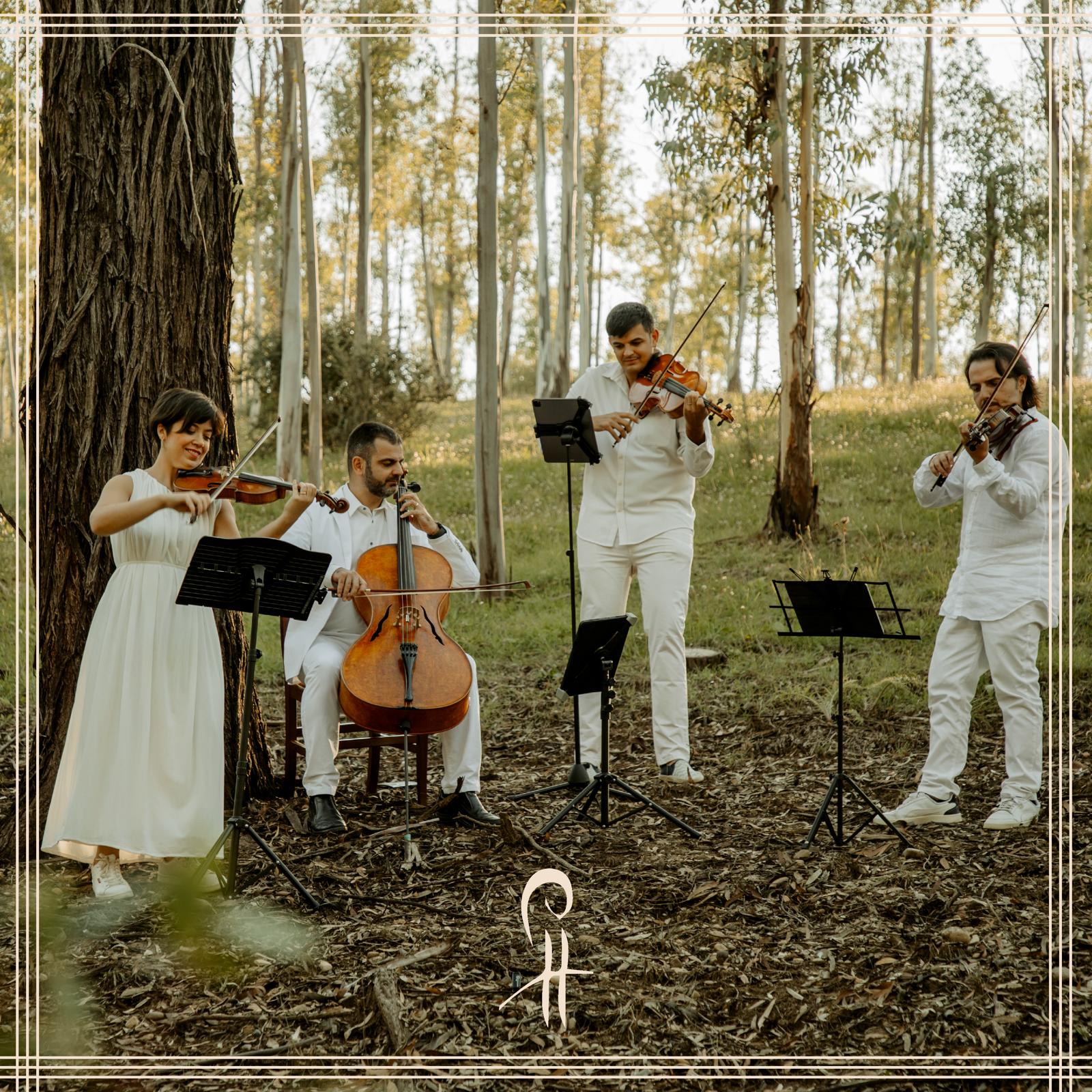 Chiostro della Cattedrale. Quartetto Alikòs in concerto