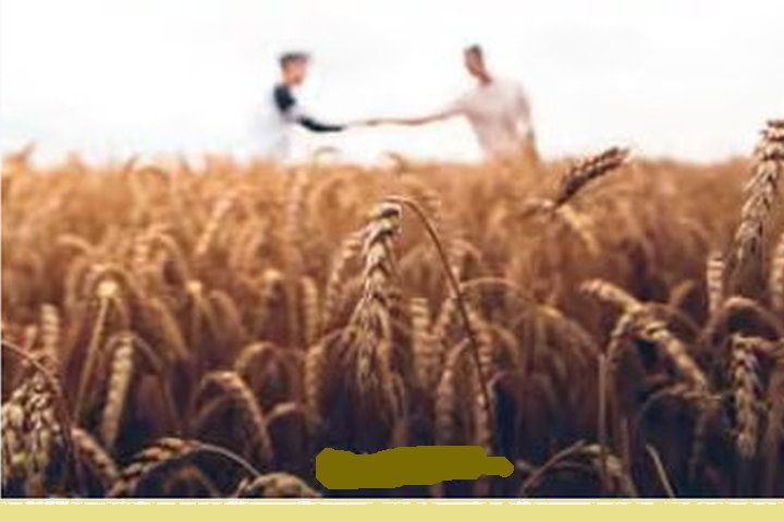 Scegliere di fare il bene