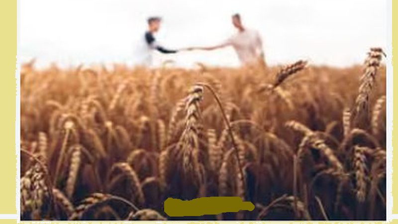Scegliere di fare il bene