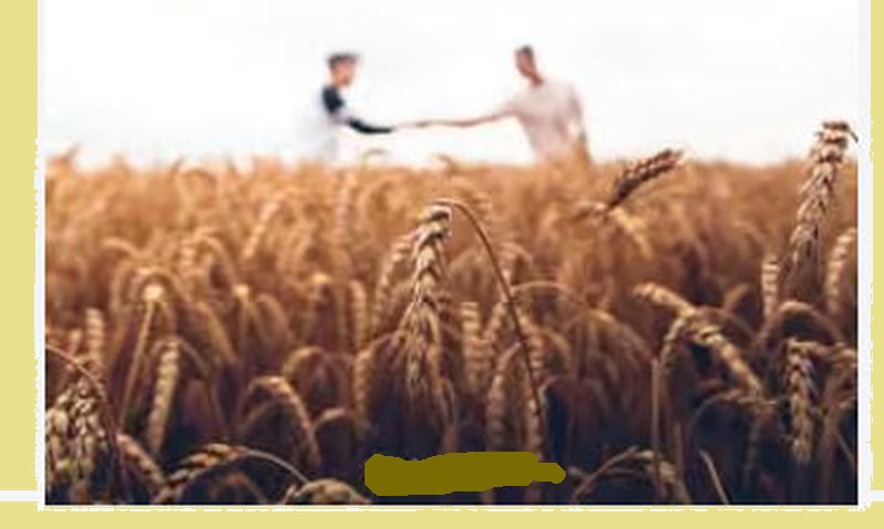 Scegliere di fare il bene