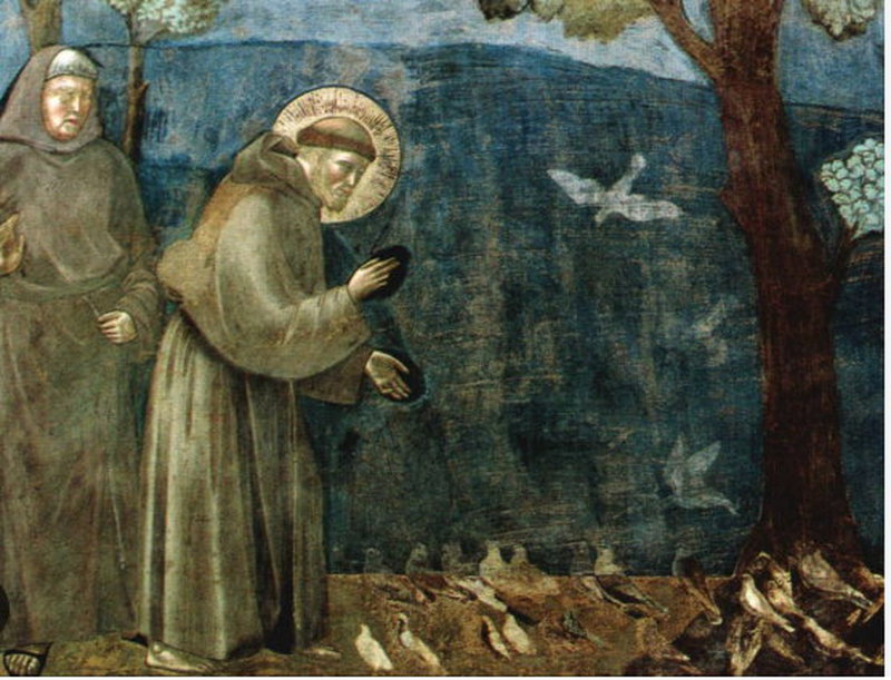 Accogliere il mistero della vita